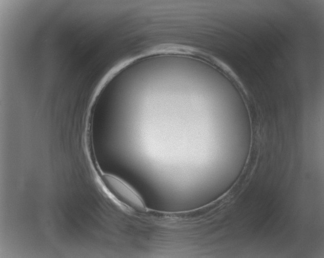X0000081391379200701111155