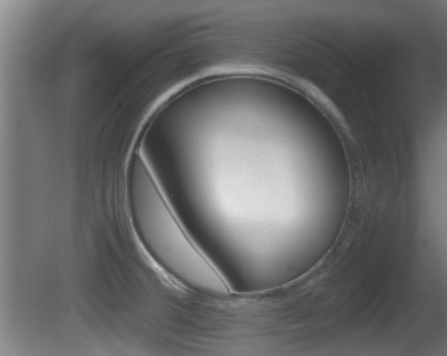 X0000081391380200701111155