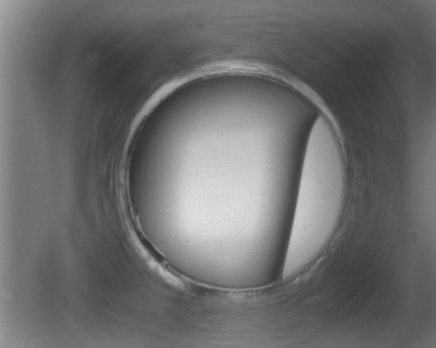 X0000081391381200701111155