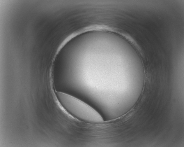 X0000081391382200701111155