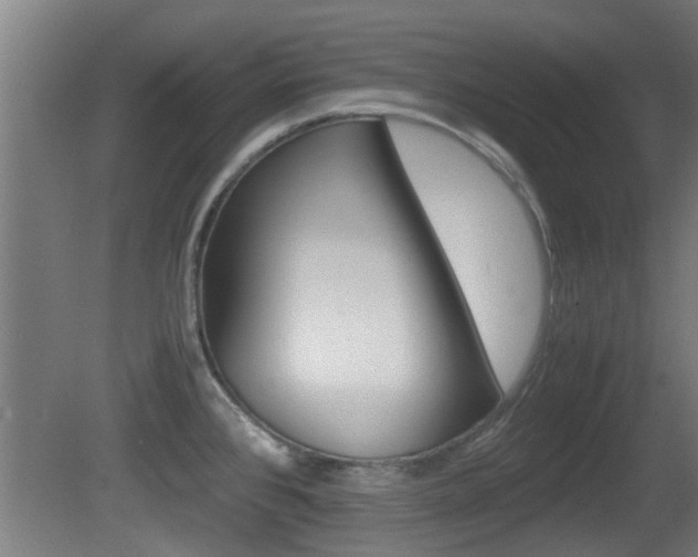 X0000081391384200701111155