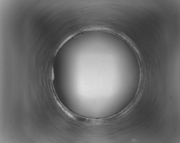 X0000081391385200701111155