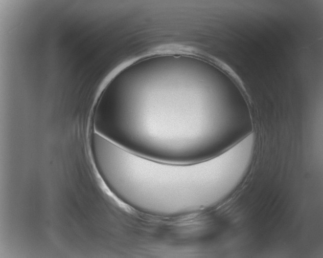 X0000081391387200701111155