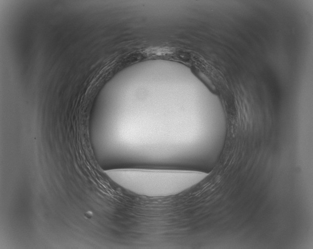 X0000081391393200701111154