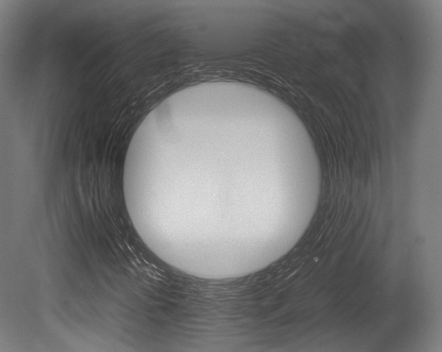 X0000081391394200701111154