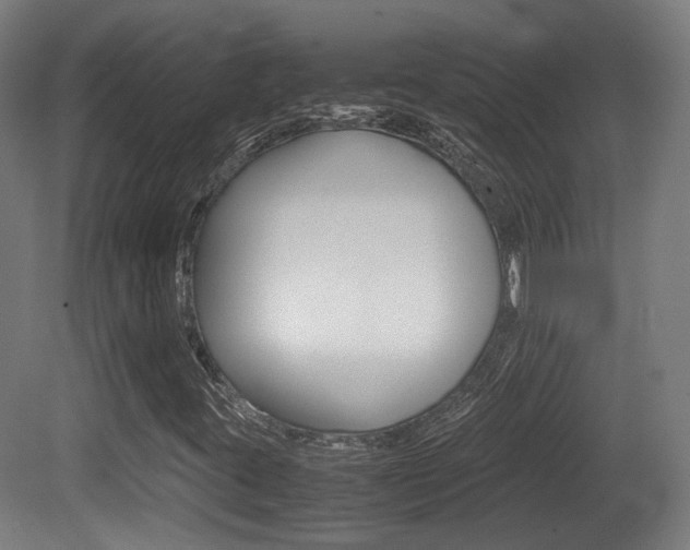 X0000081391395200701111154