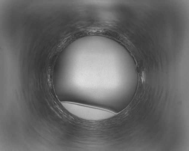 X0000081391396200701111154