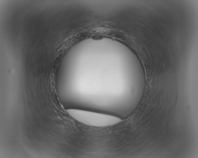 X0000081391397200701111154