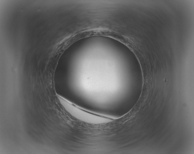 X0000081391398200701111154