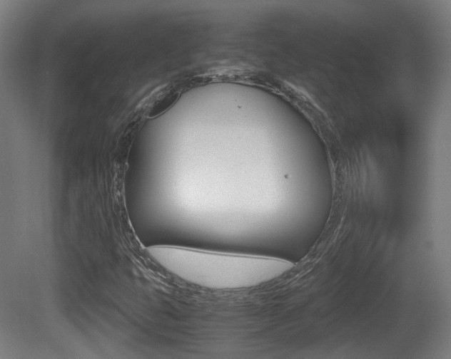 X0000081391399200701111154