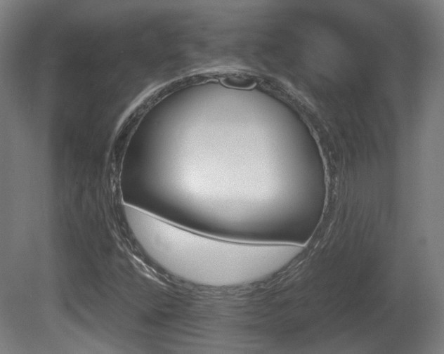 X0000081391400200701111154