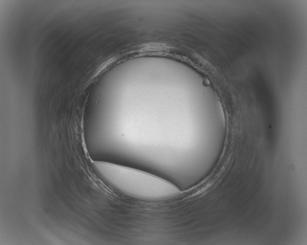 X0000081391401200701111154