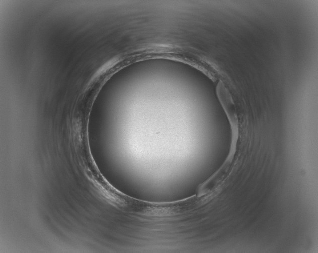 X0000081391402200701111154