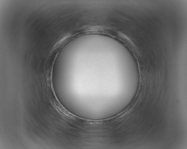 X0000081391403200701111154