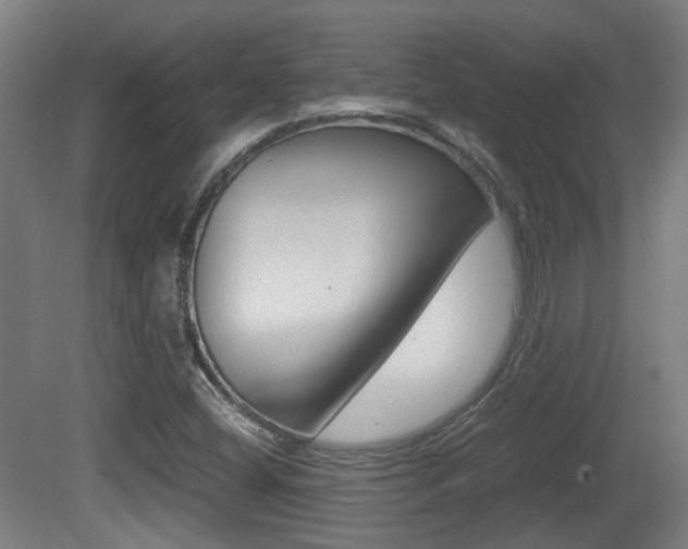 X0000081391404200701111154