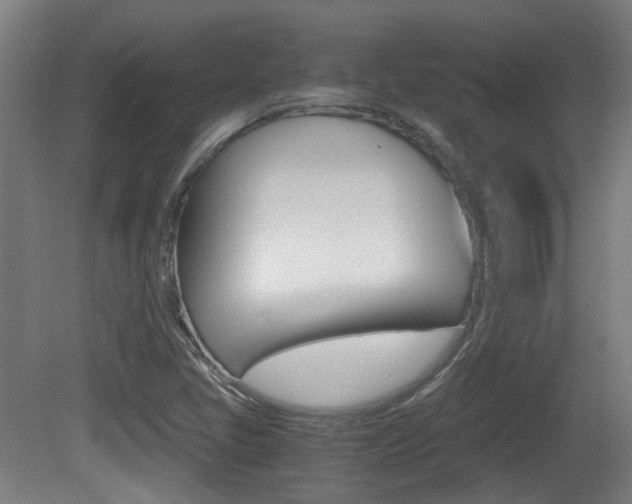 X0000081391405200701111154