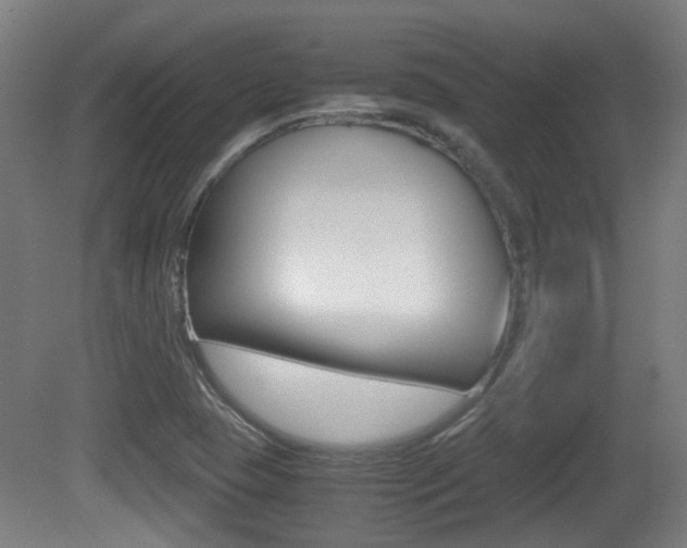 X0000081391409200701111154