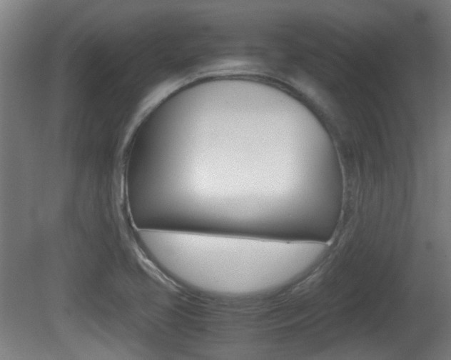 X0000081391413200701111155