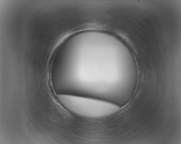 X0000081391415200701111155