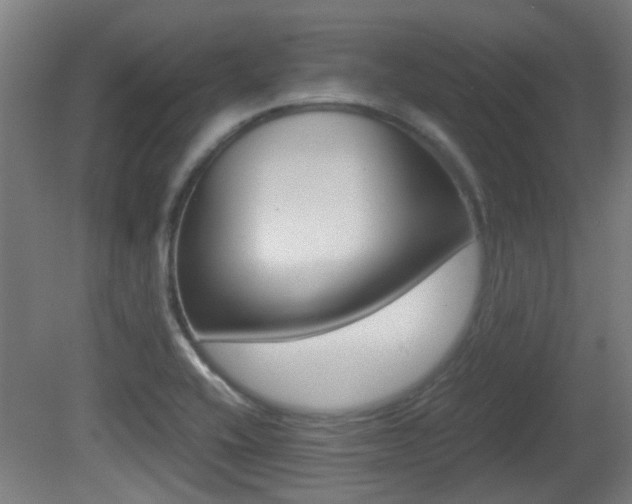 X0000081391416200701111155