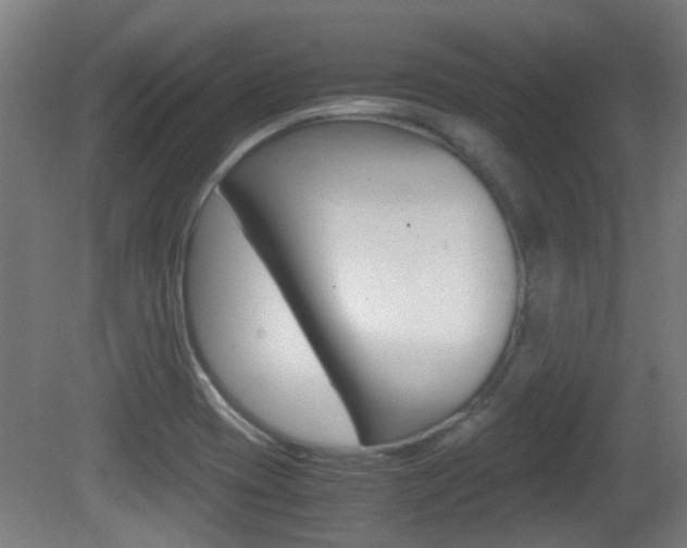 X0000081391417200701111155