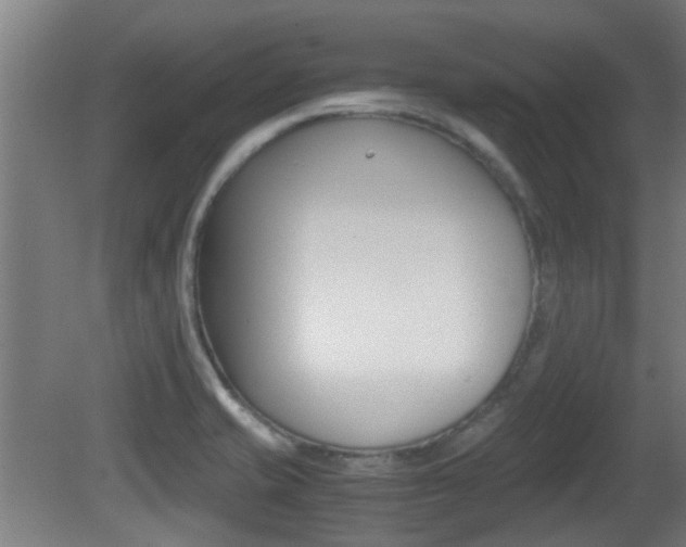 X0000081391421200701111155