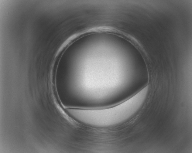 X0000081391422200701111155