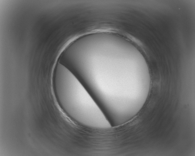 X0000081391423200701111155