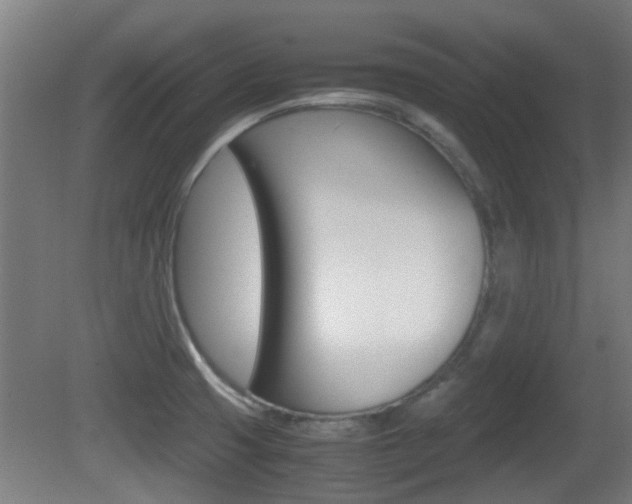 X0000081391425200701111155