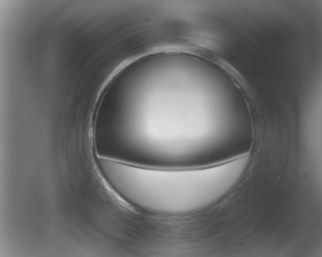 X0000081391428200701111155