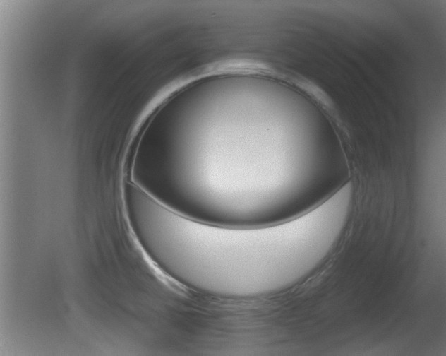X0000081391430200701111155