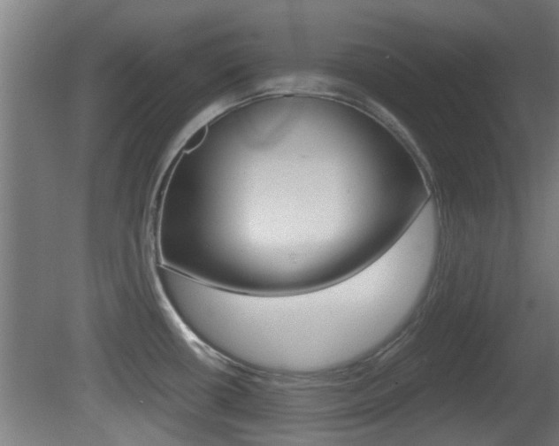 X0000081391434200701111155