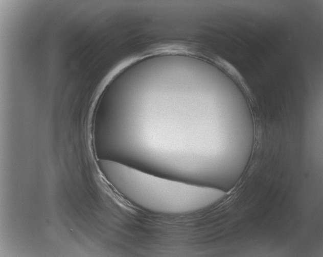 X0000081391435200701111155