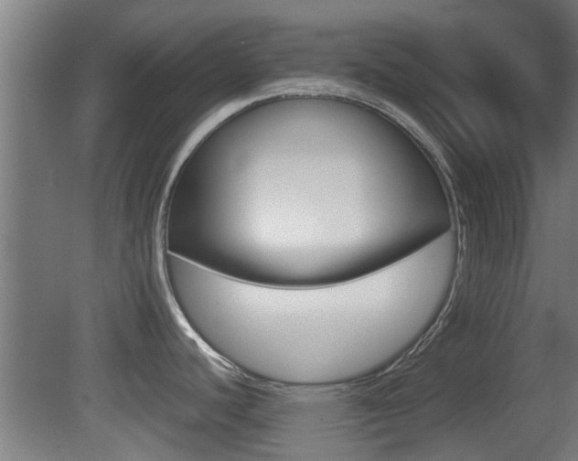 X0000081391440200701111155