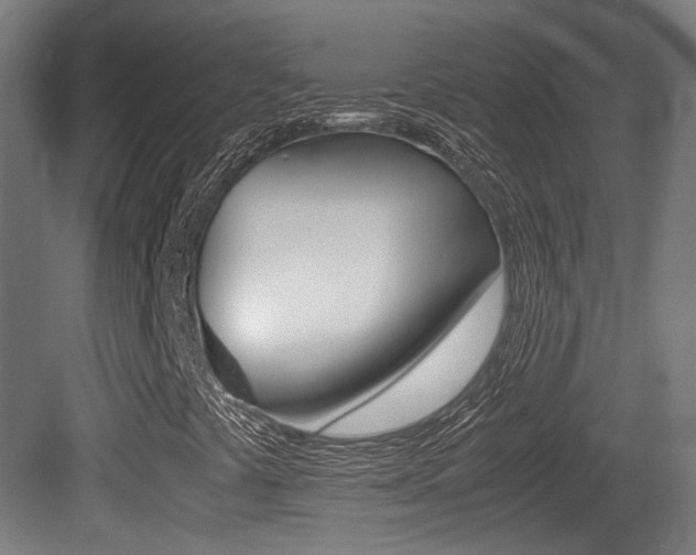 X0000081391441200701111154