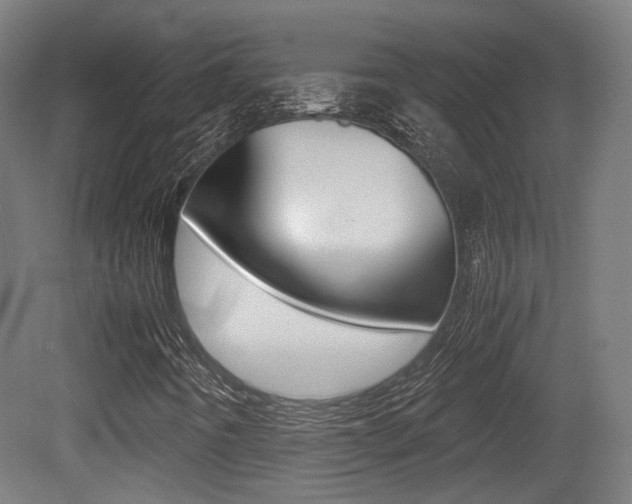 X0000081391442200701111154