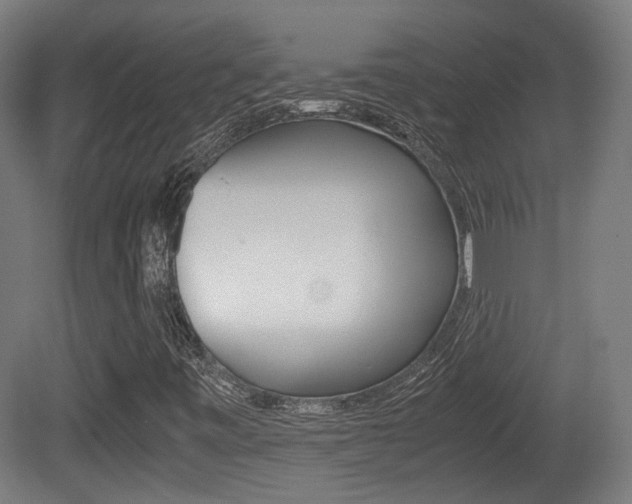 X0000081391443200701111154