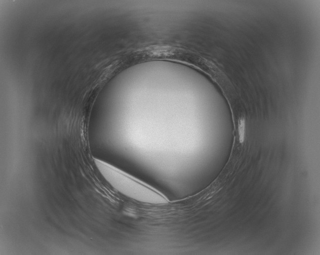 X0000081391444200701111154