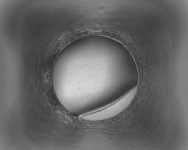 X0000081391445200701111154