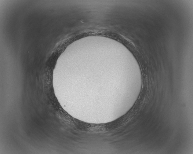 X0000081391447200701111154