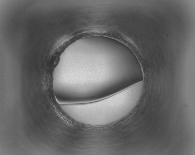 X0000081391448200701111154
