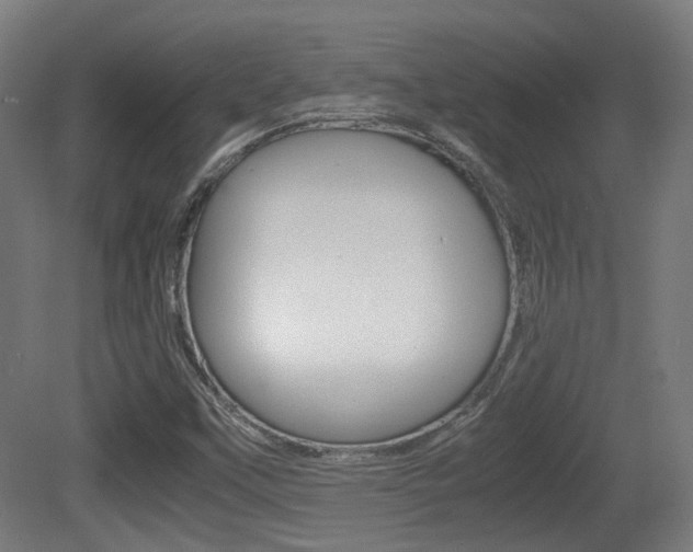 X0000081391451200701111154