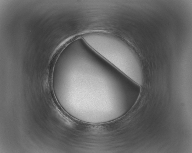 X0000081391452200701111154