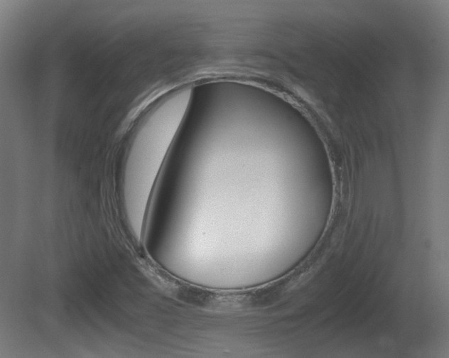 X0000081391453200701111154