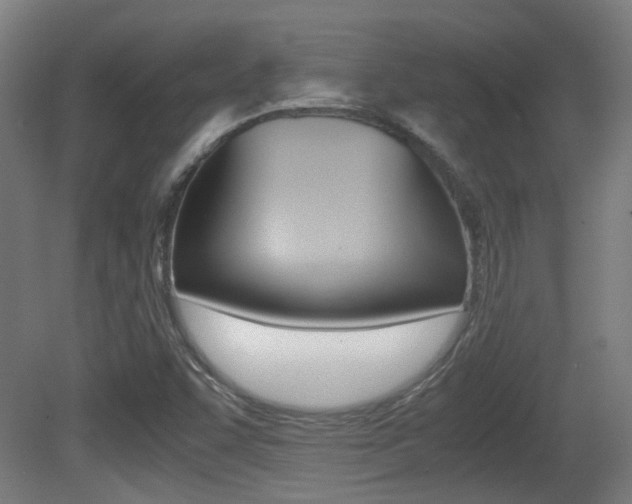X0000081391455200701111154