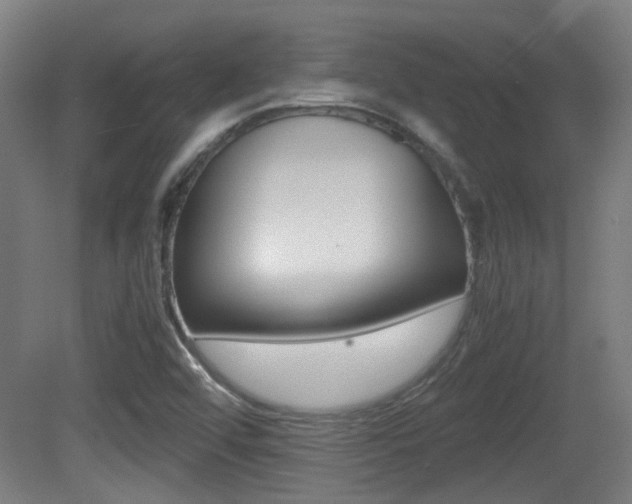X0000081391456200701111154