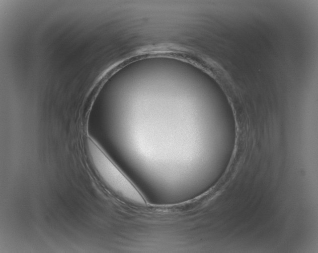 X0000081391457200701111154