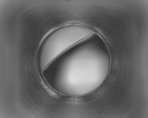 X0000081391458200701111154