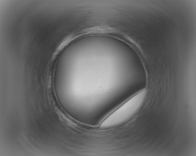 X0000081391459200701111154
