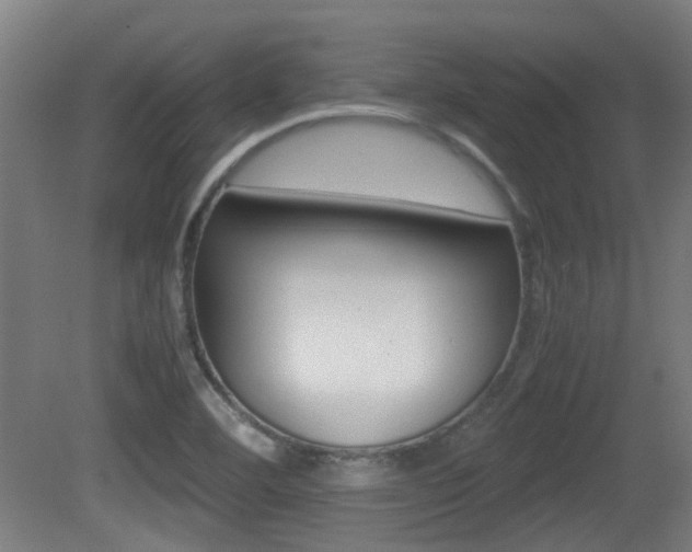 X0000081391460200701111154